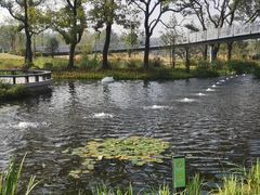 -上海植物园-4号门售票处