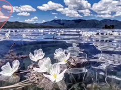 -浔岚云舍mist静谧观景美宿(丽江古城店)