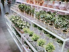 -KKV(深圳宏发大仟里店)