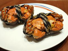 -张江海科雅乐轩聚聚乐