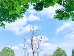 -映月湖中央公园