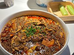 -三强鸽子(中原路店)