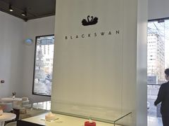 -BLACKSWAN黑天鹅(环球店)
