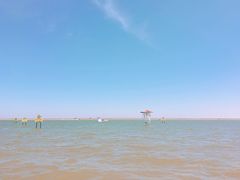 -碧海金沙