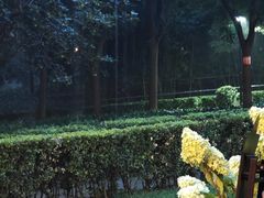 -The place那儿(新城国际店)