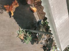 -随意茶庄·地道杭帮农家菜(梅家坞店)