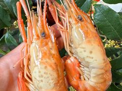 -蟹村草堂·苏式园林人文农家·大闸蟹