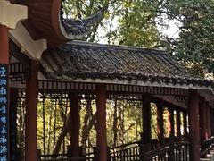 -潜山国家森林公园