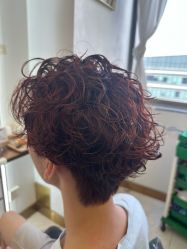 -镁连社·美联社