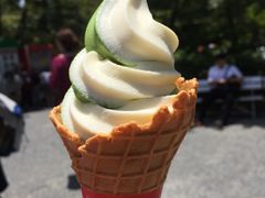 -豆政(金閣寺境内売店)