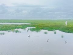 -花湖生态旅游区