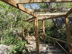 -大岭沟猕猴桃谷风景区