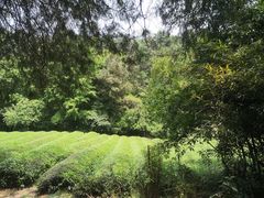 -敬亭山风景名胜区