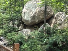 -大岭沟猕猴桃谷风景区