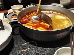 -滇牛云南火锅(桂林路店)