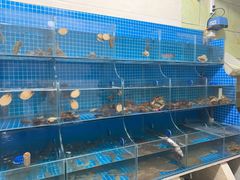 水产区-宾朋海鲜特色美食餐厅·纯手工鲅鱼水饺(兴海路店)