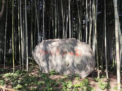 -上海醉白池公园