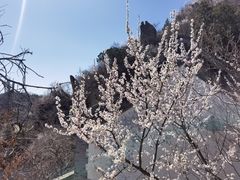-北京鹫峰国家森林公园