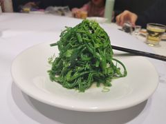 巧拌丝瓜尖-张福记(五一公园店)