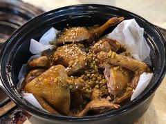 -一煲鸽