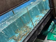 -紫阳海鲜楼·传承闽味(长乐路总店)
