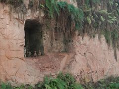-乐山市博物馆