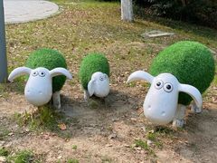 -金鸡湖桃花岛