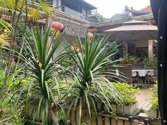 -丫口花园餐厅·融合菜