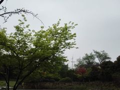 -杭州城北体育公园