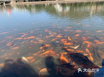 食在福鼎一日游美食攻略