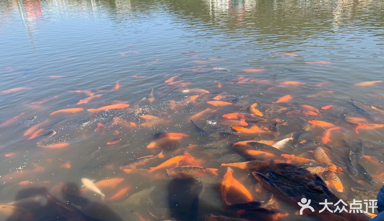 食在福鼎[调皮]一日游美食攻略