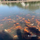 食在福鼎[调皮]一日游美食攻略