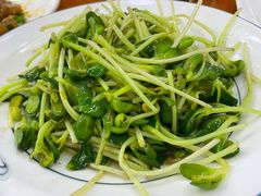 -全乐鱼馆·淳牌有机鱼直营店