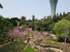-狐尾山公园