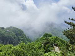 -王莽岭风景区