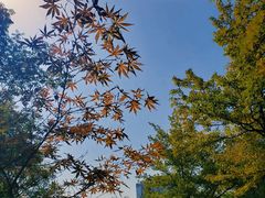 -白塘生态植物园