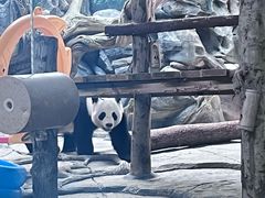 -武汉动物园