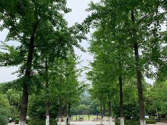 -惠山国家森林公园
