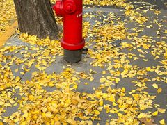 -新虹桥中心花园