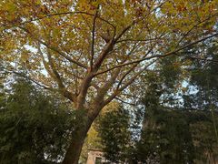 -春晖园度假酒店温泉