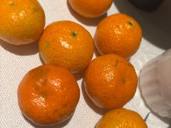 -旺顺阁·北京菜·烤鸭(魏公村店)