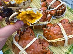 -蟹天蟹地农家菜·阳澄湖大闸蟹(浅水湾店)