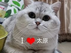 -美联众合动物医院·伴可分院·内科中心医院