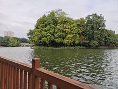 -荔湾湖公园