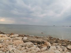 -野狸岛
