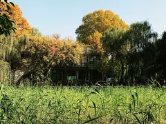 -西安市长乐公园