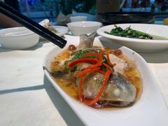 -蛇口康乐快餐鱼仔档(翠苑小区店)