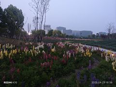 -春花秋色城市公园