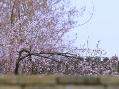 -三里河公园