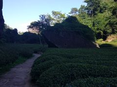 -武夷山风景名胜区-虎啸岩